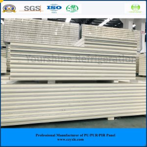 Heat Insulation and Fireproof Cold Room Pur Insulated Sandwich Panels