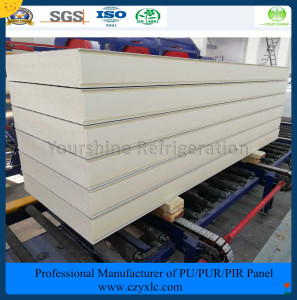 ISO, SGS 180mm PIR Sandwich Panel for Meat/ Vegetables/ Fruit